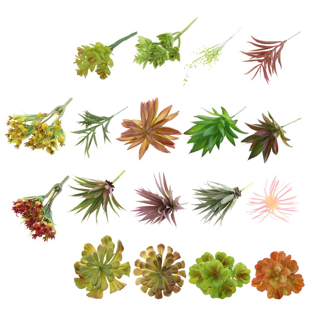 Plastic Artificial Succulents  - огляд і ціна Echeveria Succulent