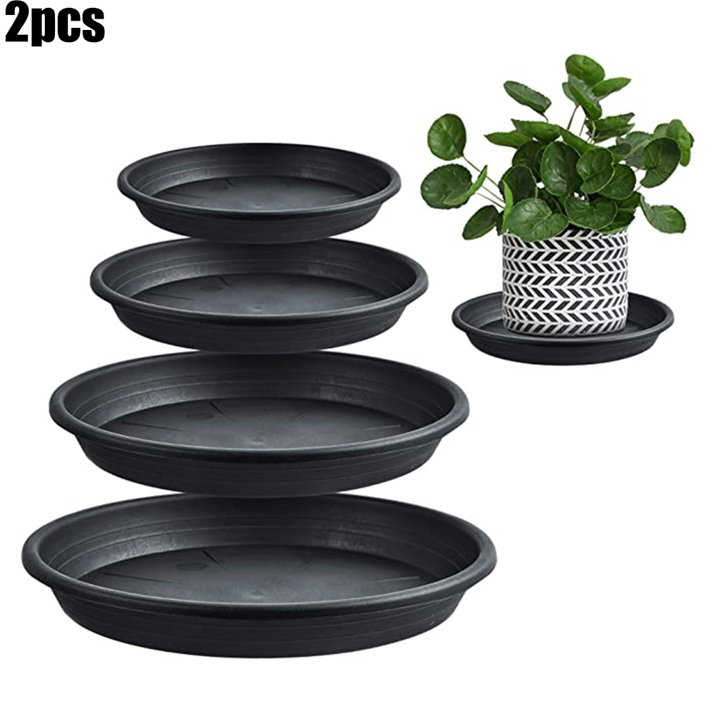 2pcs Plant Trays Round Succule - огляд і ціна Echeveria Succulent