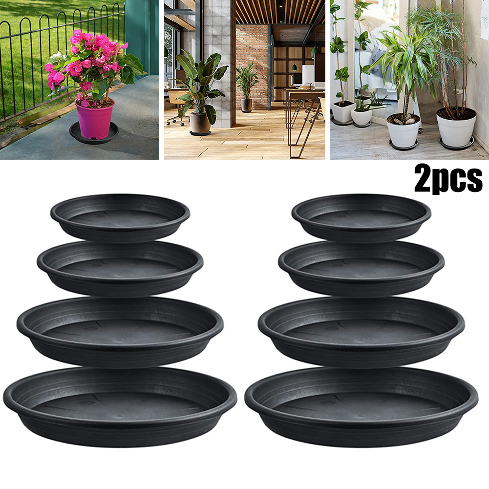 2pcs Plant Trays Round Succule - огляд і ціна Echeveria Succulent