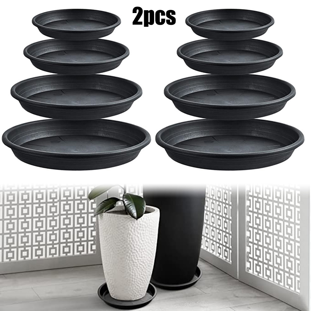 2pcs Plant Trays Round Succule - огляд і ціна Echeveria Succulent