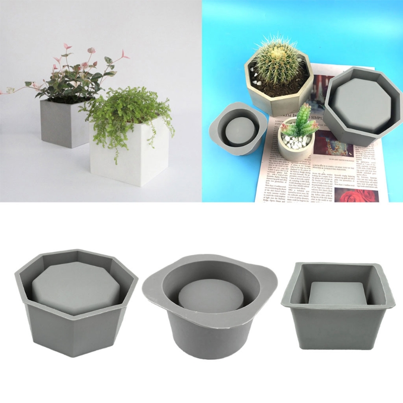 Handmade Succulent Planter Flo - огляд і ціна Echeveria Succulent