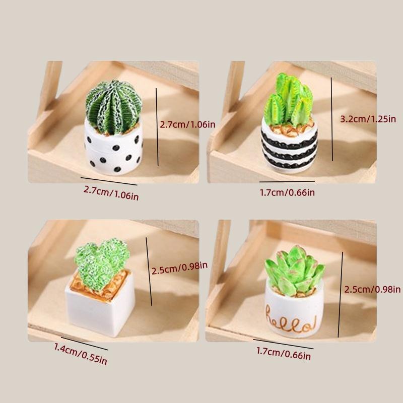 4-Piece Set of Cactus Succulen - огляд і ціна Echeveria Succulent