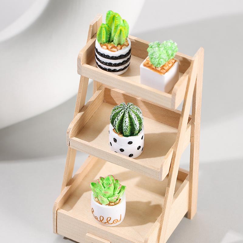 4-Piece Set of Cactus Succulen - огляд і ціна Echeveria Succulent